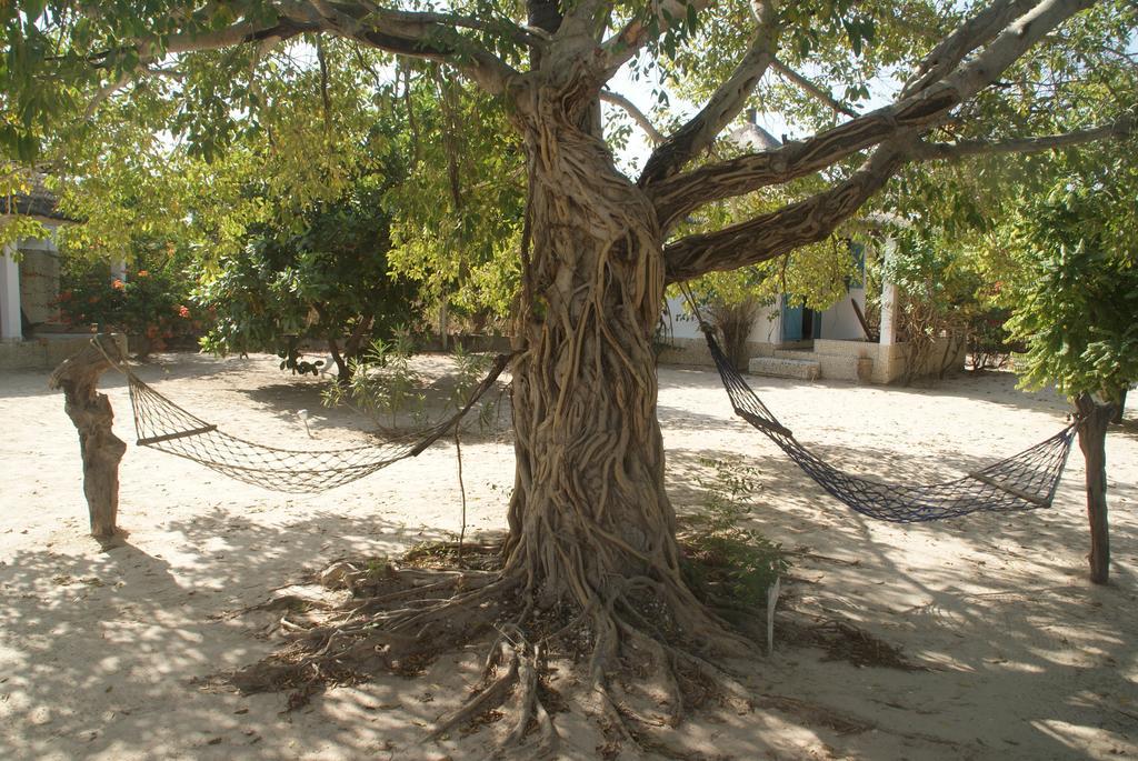 Bazouk Du Saloum Ecolodge Mar Lodj الغرفة الصورة