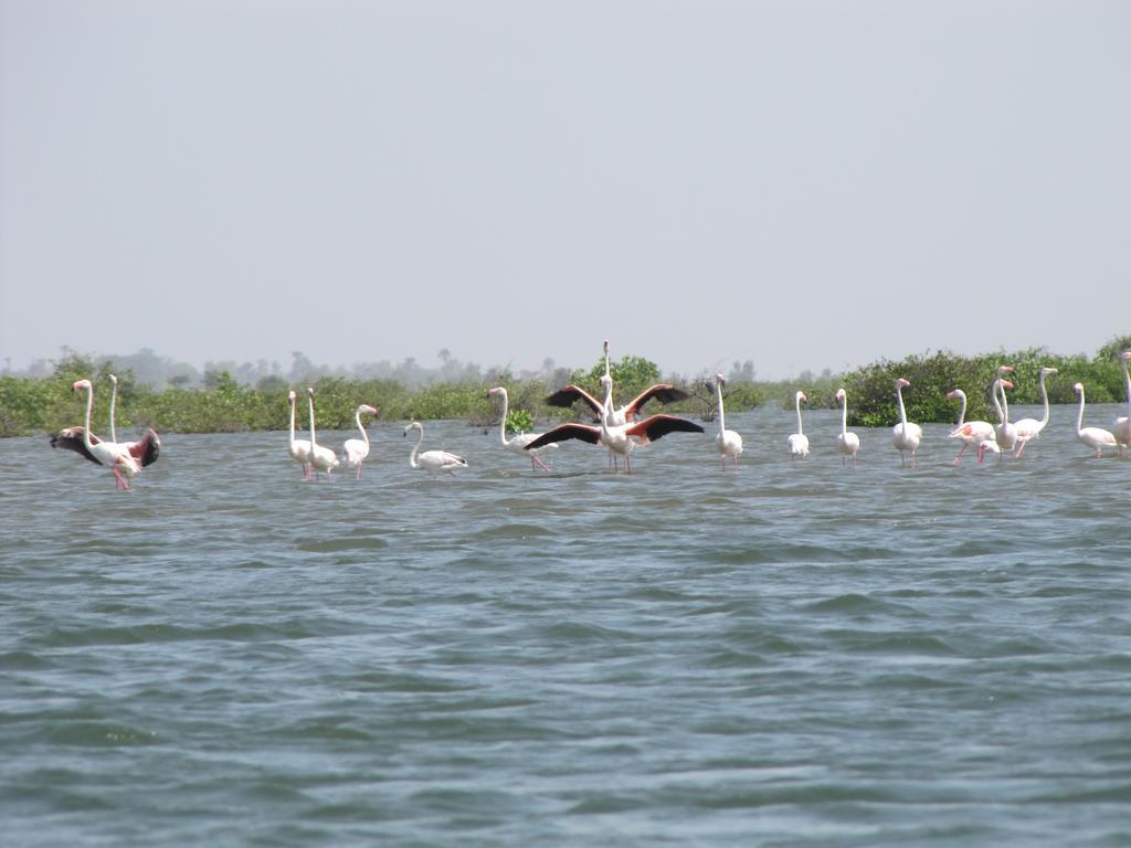 Bazouk Du Saloum Ecolodge Mar Lodj المظهر الخارجي الصورة